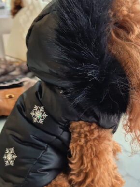 Piumino Luxury per Cani – Collezione Alta Moda Mon Bonbon