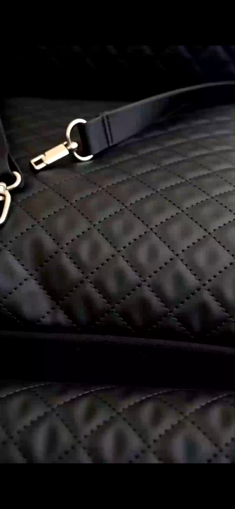 Seggiolino Auto per Cani Premium in Eco-Pelle | Anteprima - immagine 5