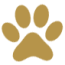 Left-Paw-design-element-banner