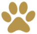Left-Paw-design-element-banner